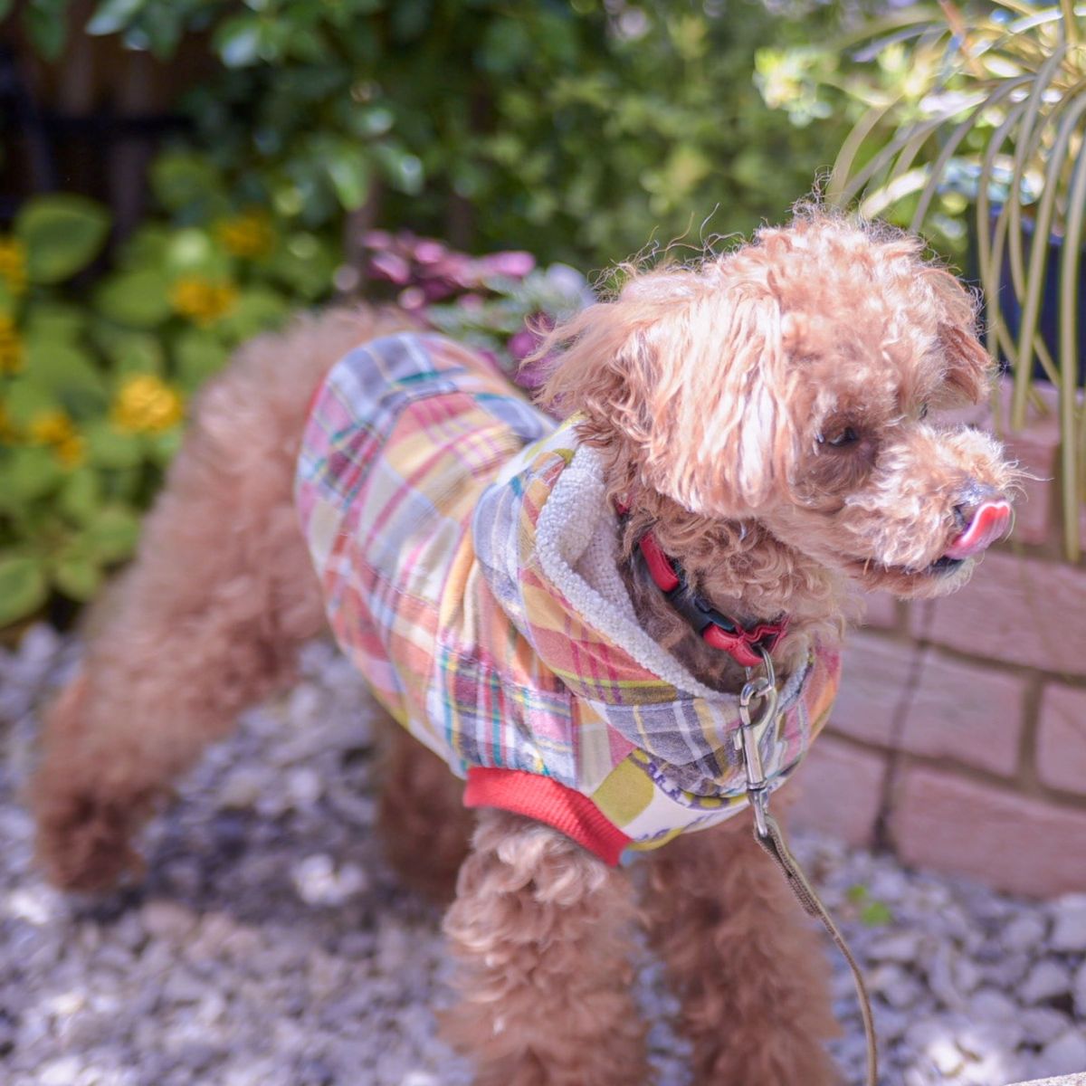 犬服 ハンドメイド とっくり袖なしパーカー フード付きタンクトップ 小型犬 プードル チワワ。。