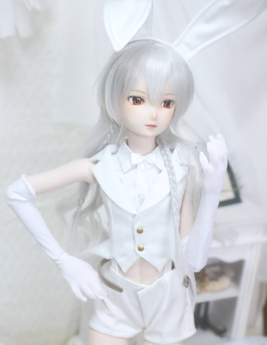 【理世】 DDH-26 カスタムヘッド SW肌＋アイ DD ドルフィードリーム　ボークス_画像2