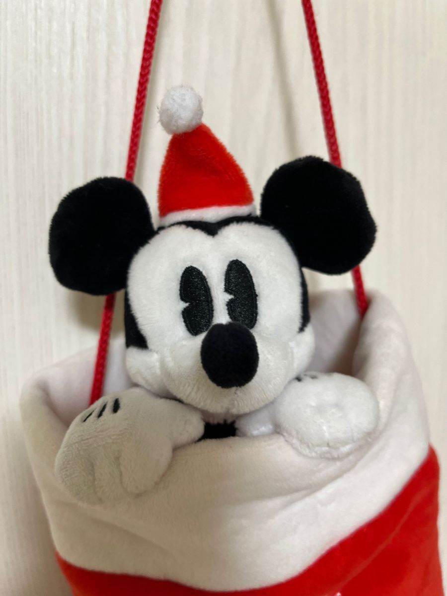 ディズニー ミッキーマウス マスコット付き 小物入れ クリスマスミッキー サンタミッキー
