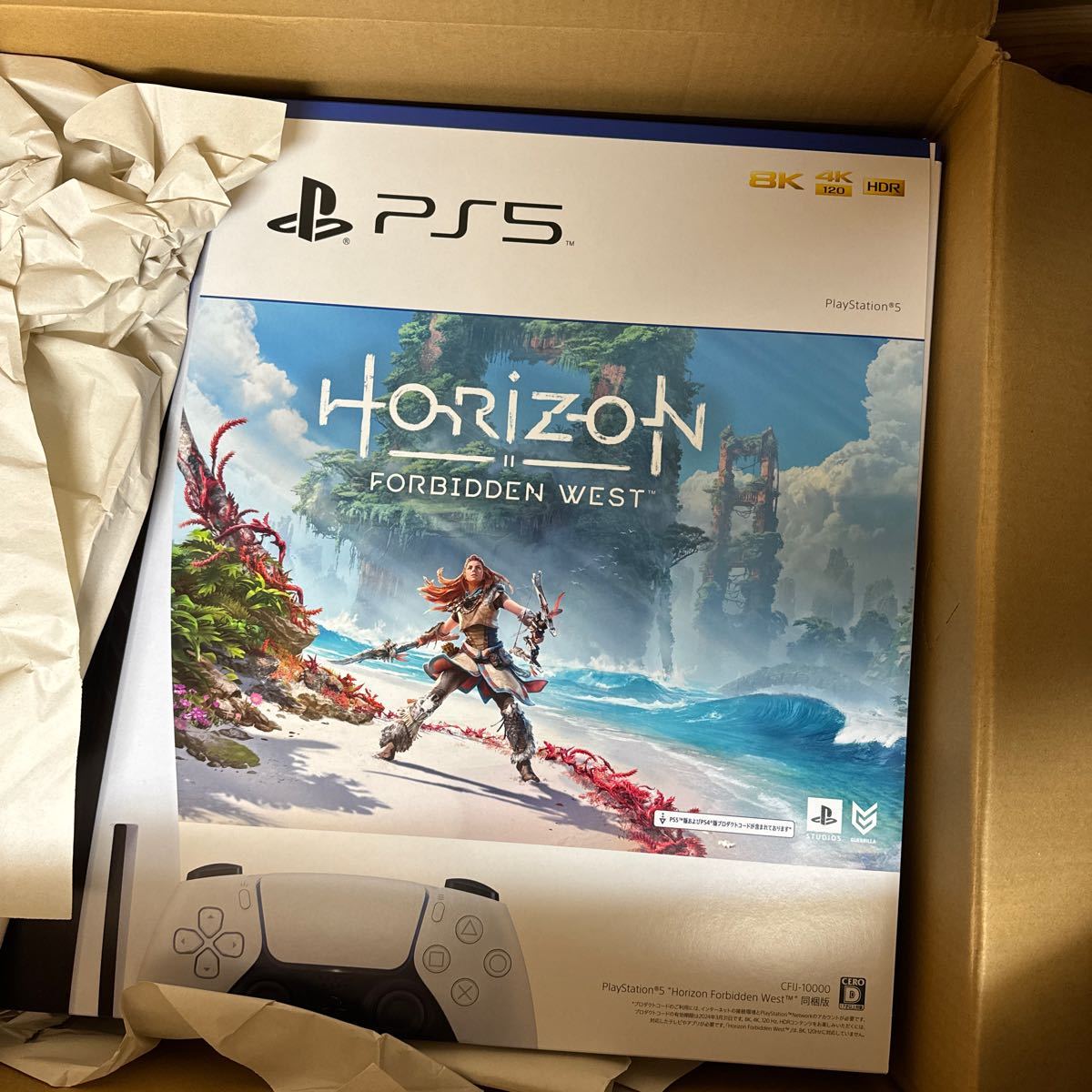 PlayStation5 Horizon Forbidden West 同梱版 | nate-hospital.com