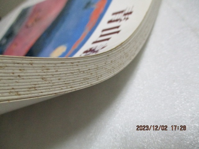 図録  『青山義雄 展 地中海感性の詩人   油彩109点+デッサン30点』    神奈川県立近代美術館    1988年の画像4