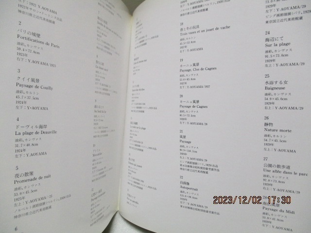 図録  『青山義雄 展 地中海感性の詩人   油彩109点+デッサン30点』    神奈川県立近代美術館    1988年の画像7