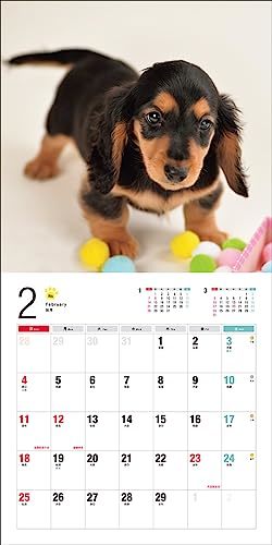 2024年カレンダー ミニチュア・ダックスフンド (誠文堂新光社カレンダー)_画像8