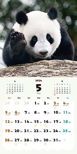ハッピー＆ラッキーパンダ カレンダー 2024_画像9