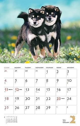 カレンダー2024 柴犬（月めくり/壁掛け） (ヤマケイカレンダー2024)_画像9