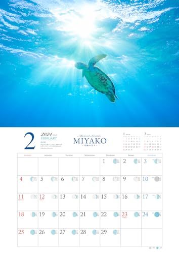 沖縄・宮古島 2024大判カレンダー 「Magical Islands MIYAKO奇跡の島々」_画像6