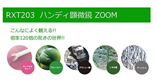 レイメイ藤井 顕微鏡 ハンディ ZOOM グリーン RXT203M_画像5