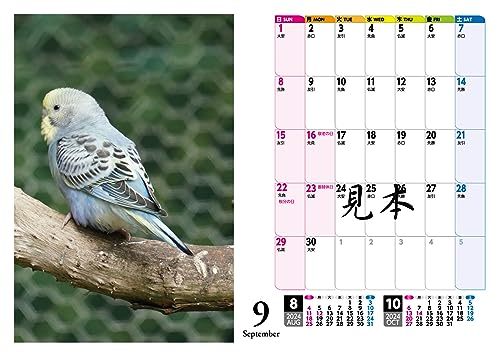 セキセイインコ・鳥写真カレンダー2024　B6サイズ。ワンタッチで卓上にも壁掛けにもなる3Wayカレンダー_画像2