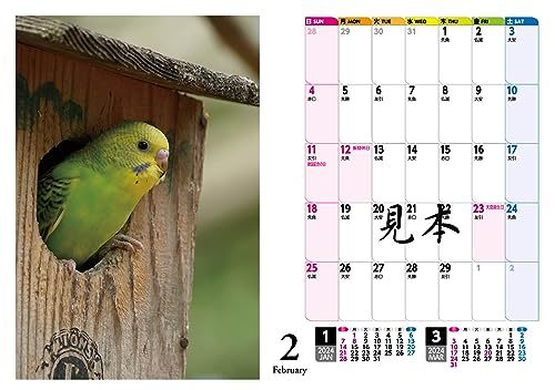 セキセイインコ・鳥写真カレンダー2024　B6サイズ。ワンタッチで卓上にも壁掛けにもなる3Wayカレンダー_画像6