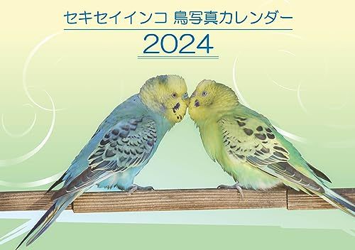 セキセイインコ・鳥写真カレンダー2024　B6サイズ。ワンタッチで卓上にも壁掛けにもなる3Wayカレンダー_画像1