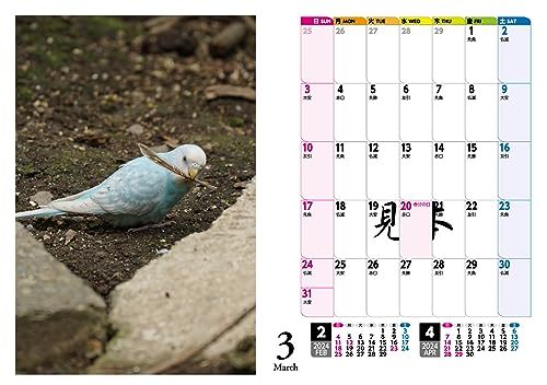 セキセイインコ・鳥写真カレンダー2024　B6サイズ。ワンタッチで卓上にも壁掛けにもなる3Wayカレンダー_画像7