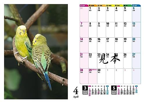 セキセイインコ・鳥写真カレンダー2024　B6サイズ。ワンタッチで卓上にも壁掛けにもなる3Wayカレンダー_画像8