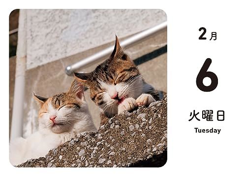 ほっこりゆったり毎日島猫 日めくりカレンダー 2024_画像6