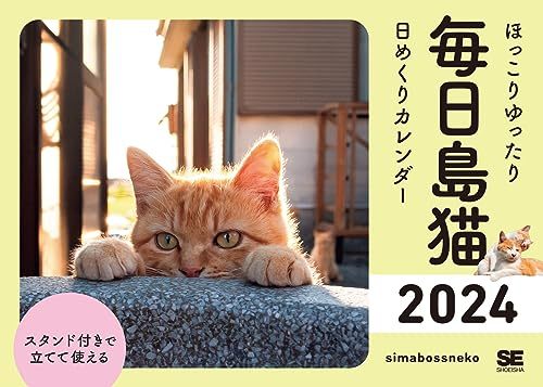 ほっこりゆったり毎日島猫 日めくりカレンダー 2024_画像1