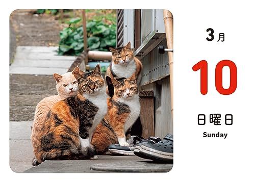 ほっこりゆったり毎日島猫 日めくりカレンダー 2024_画像7