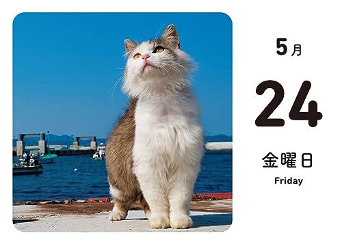 ほっこりゆったり毎日島猫 日めくりカレンダー 2024_画像9