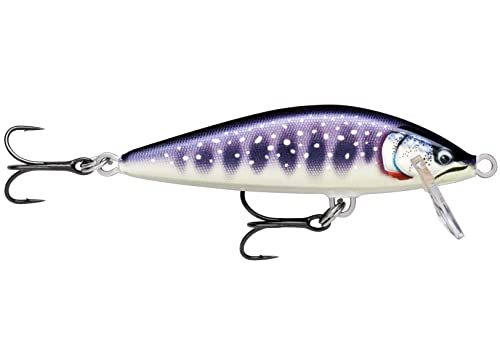 ラパラ(Rapala) カウントダウンエリート7.5cm 10g CDE75-GDIW イワナ_画像1