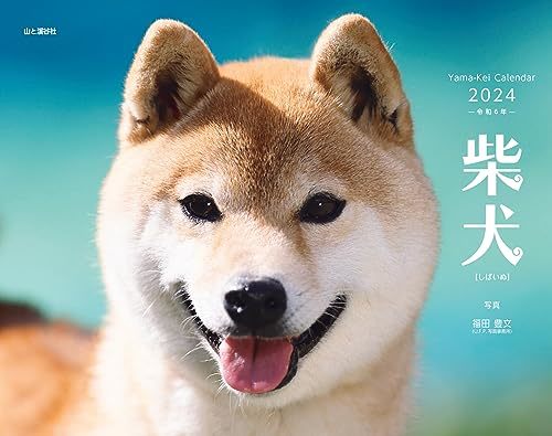 カレンダー2024 柴犬（月めくり/壁掛け） (ヤマケイカレンダー2024)_画像1