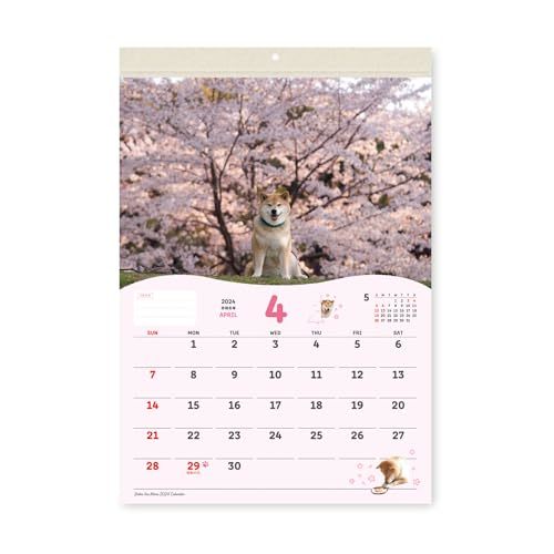 新日本カレンダー 2024年 カレンダー 壁掛け 柴犬まる 小 NK4008_画像3