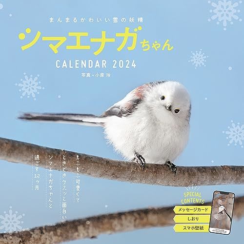 まんまるかわいい雪の妖精 シマエナガちゃん CALENDAR 2024_画像1