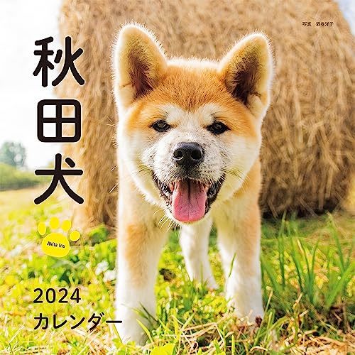 2024年カレンダー 秋田犬 (誠文堂新光社カレンダー)_画像1