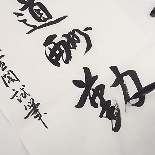 100枚の空白の中国の書道のライスペーパーの生の宣紙 (書畫紙 34x69cm)の画像6