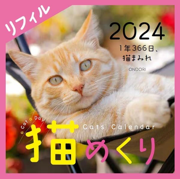 シーオーツー 猫めくり 2024年 カレンダー リフィル 日めくり CK-C24-02_画像1