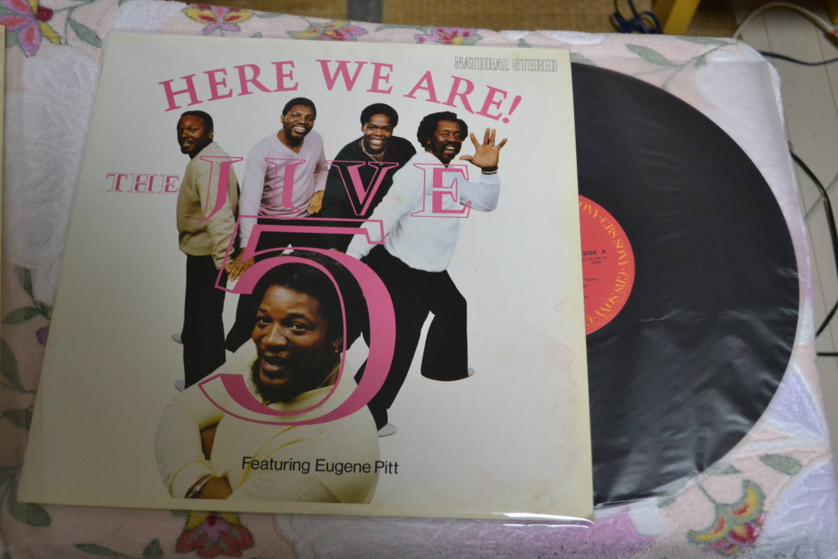 12(LP) THE JIVE 5 Here We Are 帯なし日本盤_画像1