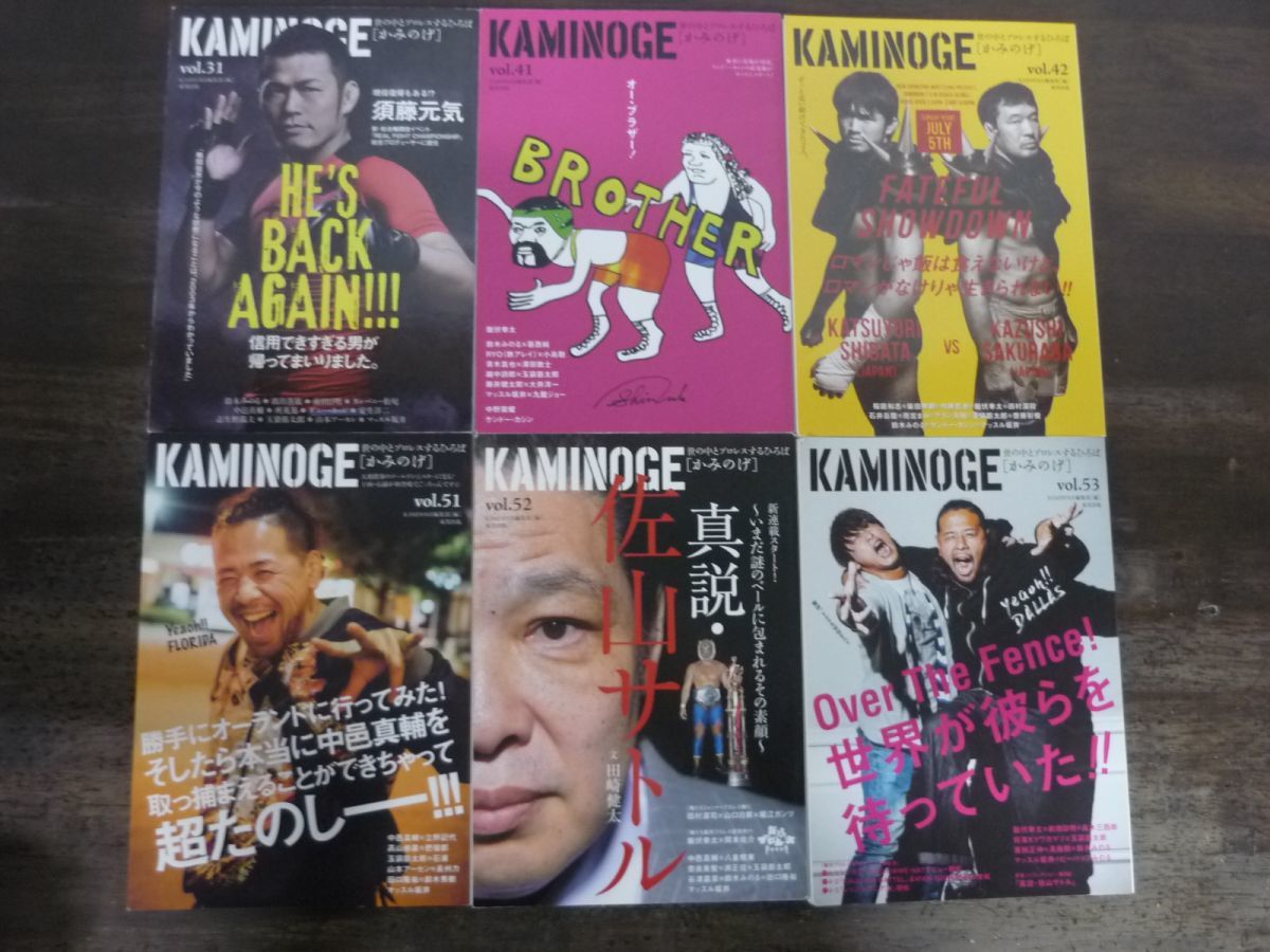 KAMINOGE　かみのげ　世の中とプロレスするひろば　不揃いまとめて18冊セット　東邦出版_画像4