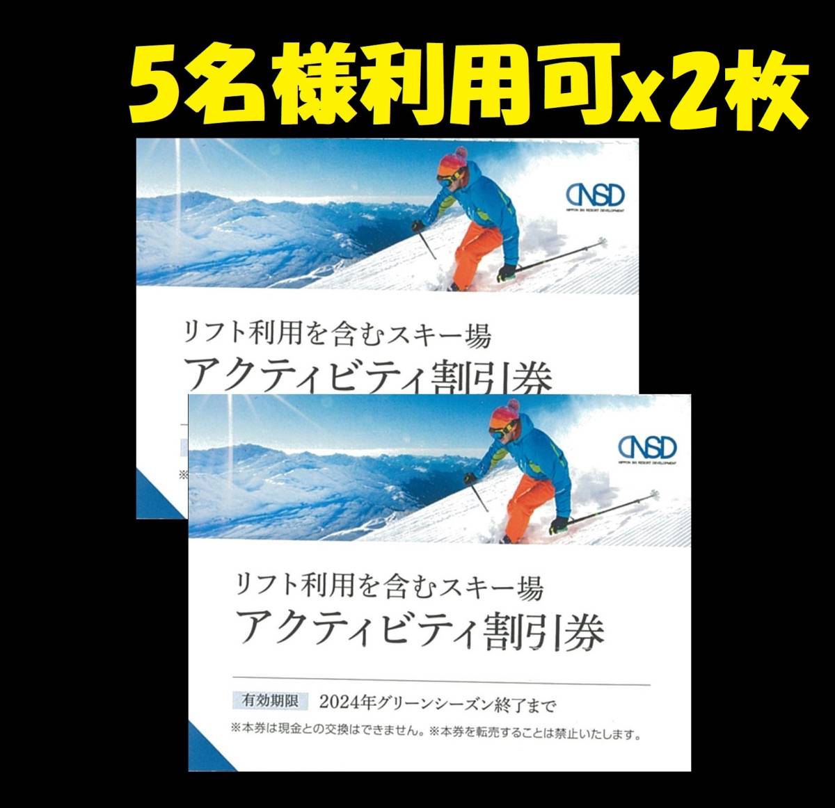 5名x2日分 日本駐車場開発 株主優待券 スキー場 リフト 割引券