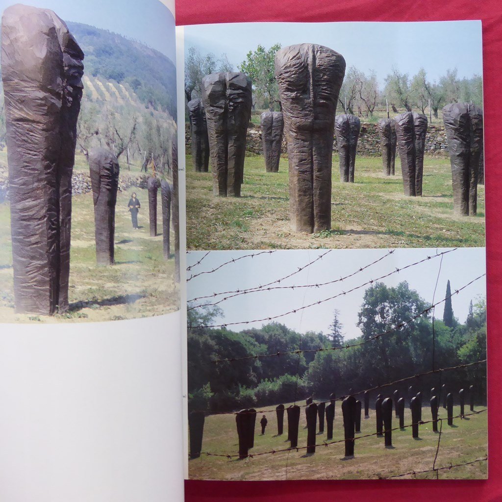 e2図録【アバカノヴィッチ展-記憶 沈黙 いのち/MAGDALENA ABAKANOWICZ/1991年・セゾン美術館ほか】_画像10