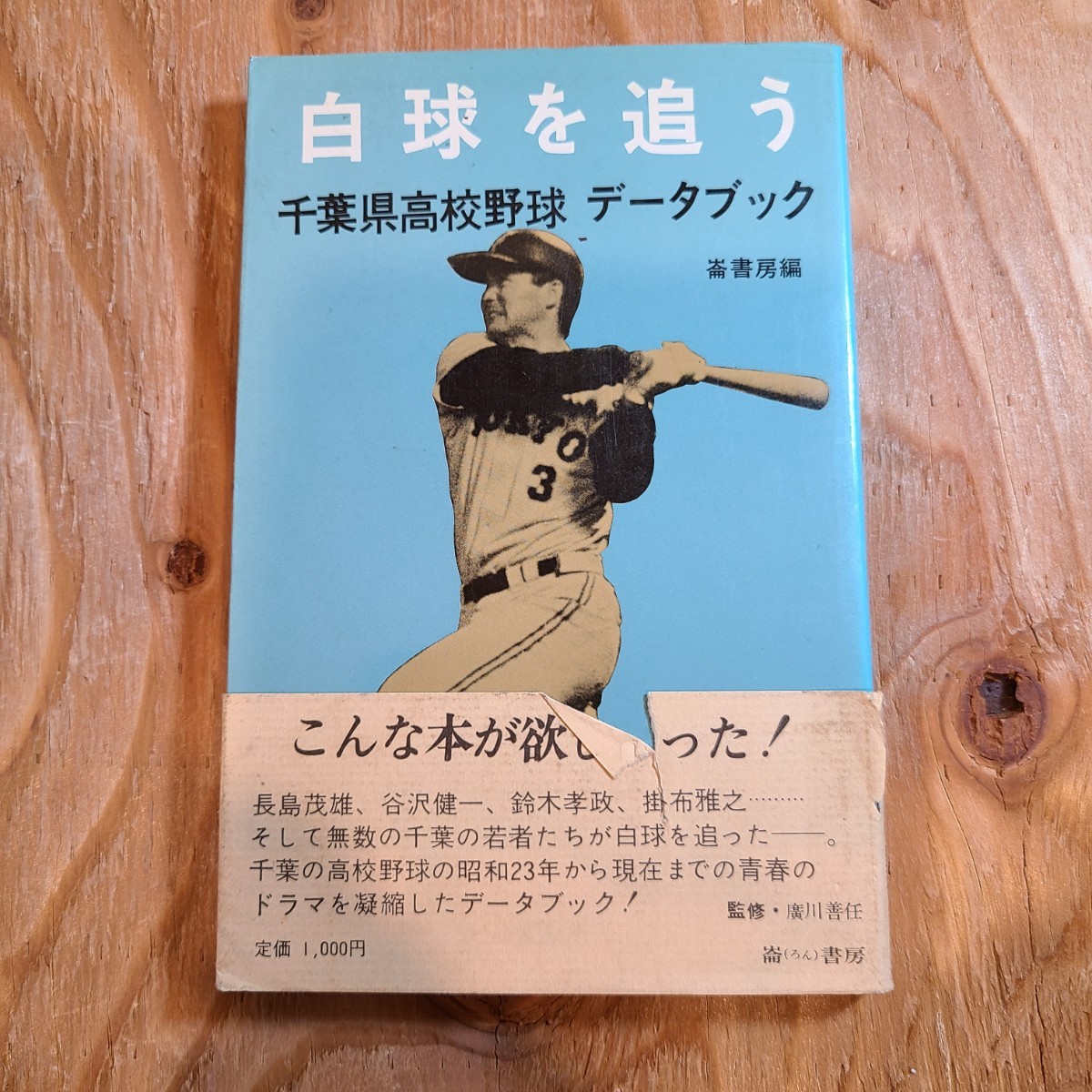 崙書房編「白球を追う 千葉県高校野球 データブック」(1984年) 甲子園/銚子商業高校/習志野高校/木更津中央高校/印旛高校_画像1