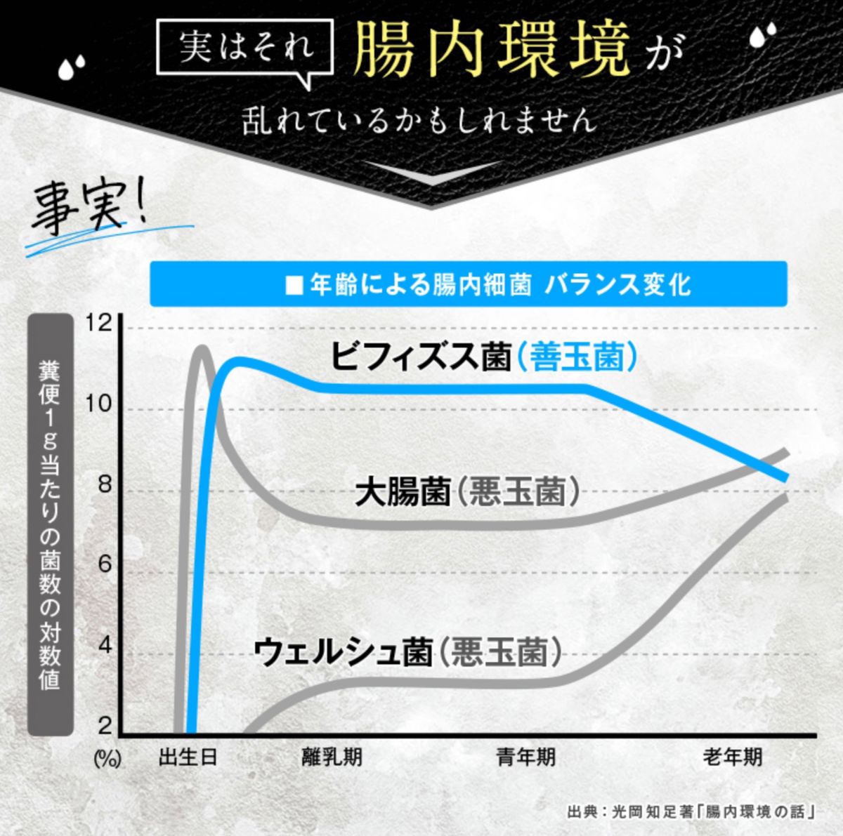 ラクトロン錠 明治薬品 サプリメント 1袋180粒入 整腸 消化促進 胃もたれ改善 腹部膨満感 便通を整える 便秘 軟便 便通改善