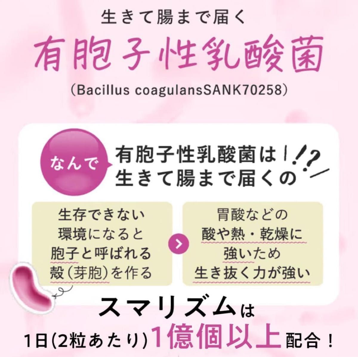 DMJえがお生活 スマリズム 31日分 62粒 日本製 機能性表示食品 お腹の脂肪 皮下脂肪 内臓脂肪 体重 便通 乳酸菌 サプリ