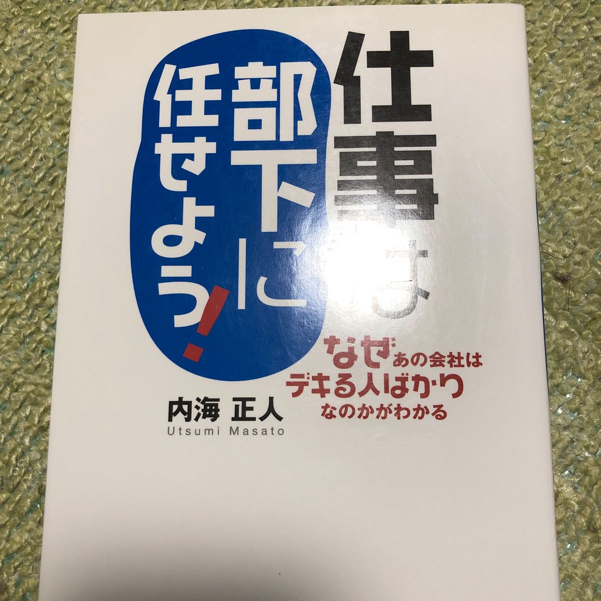 仕事は部下に任せよう！　なぜあの会社はデキる人ばかりなのかがわかる （ＡＳＵＫＡ　ＢＵＳＩＮＥＳＳ） 内海正人／著