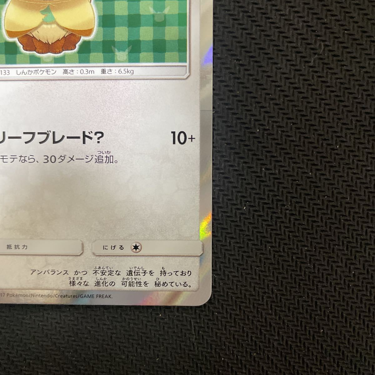 正規品 美品 ポケモンカード ポンチョを着たイーブイ リーフィア プロモ_画像5