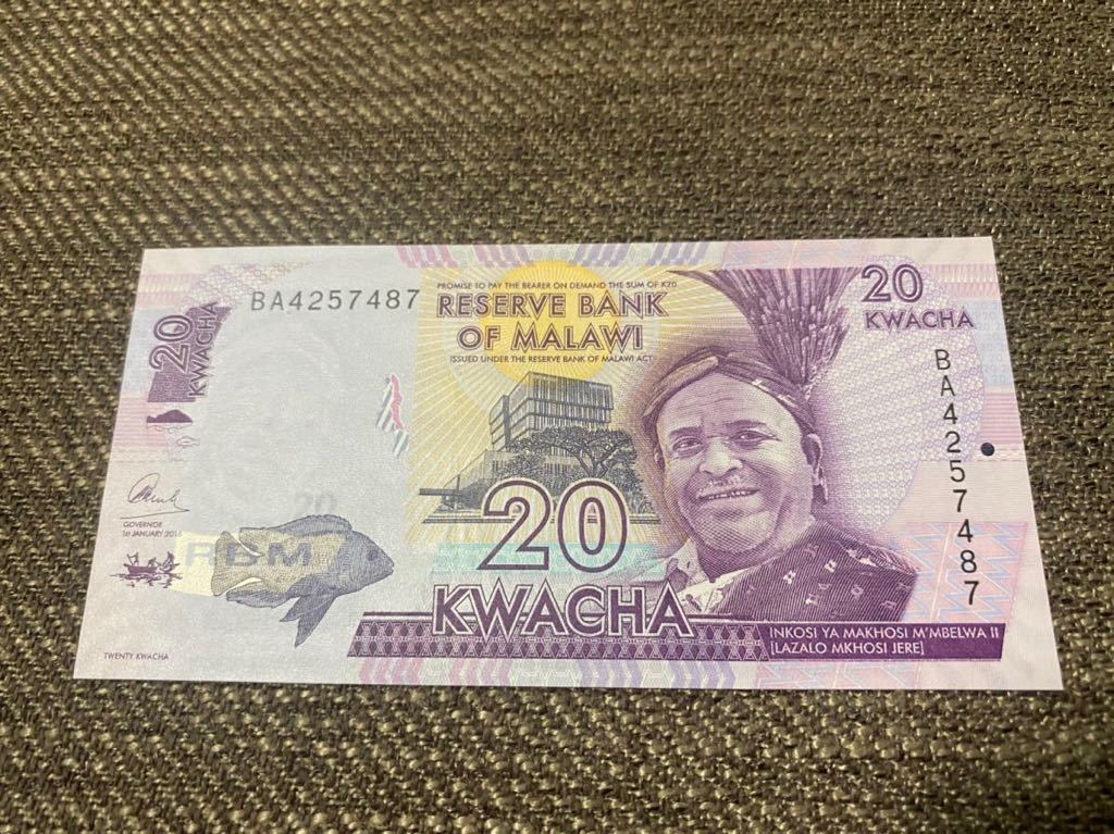 【未使用 】20クワチャ マラウイ 紙幣 2016年⑦の画像1