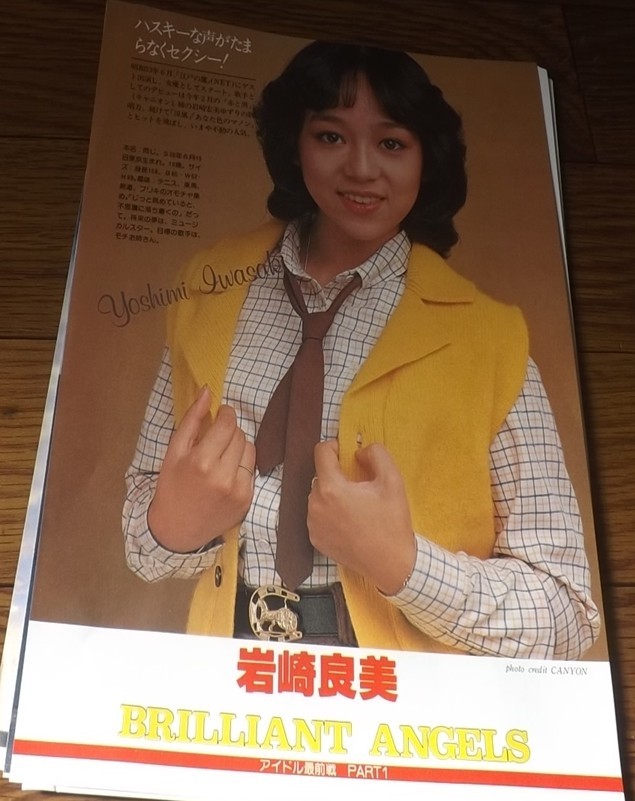 ★80年代【菅えり子、岩崎良美、川島なお美　他】 切抜き　送料140円_画像4