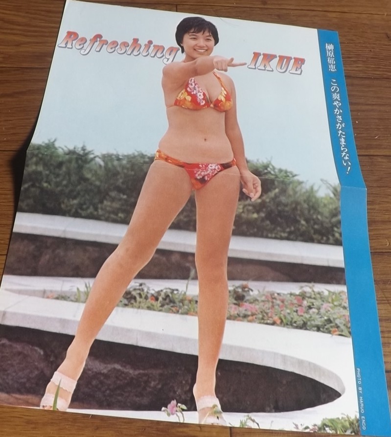 ◆70年代女優【榊原郁恵②】 水着ピンナップ　送料140円_画像2