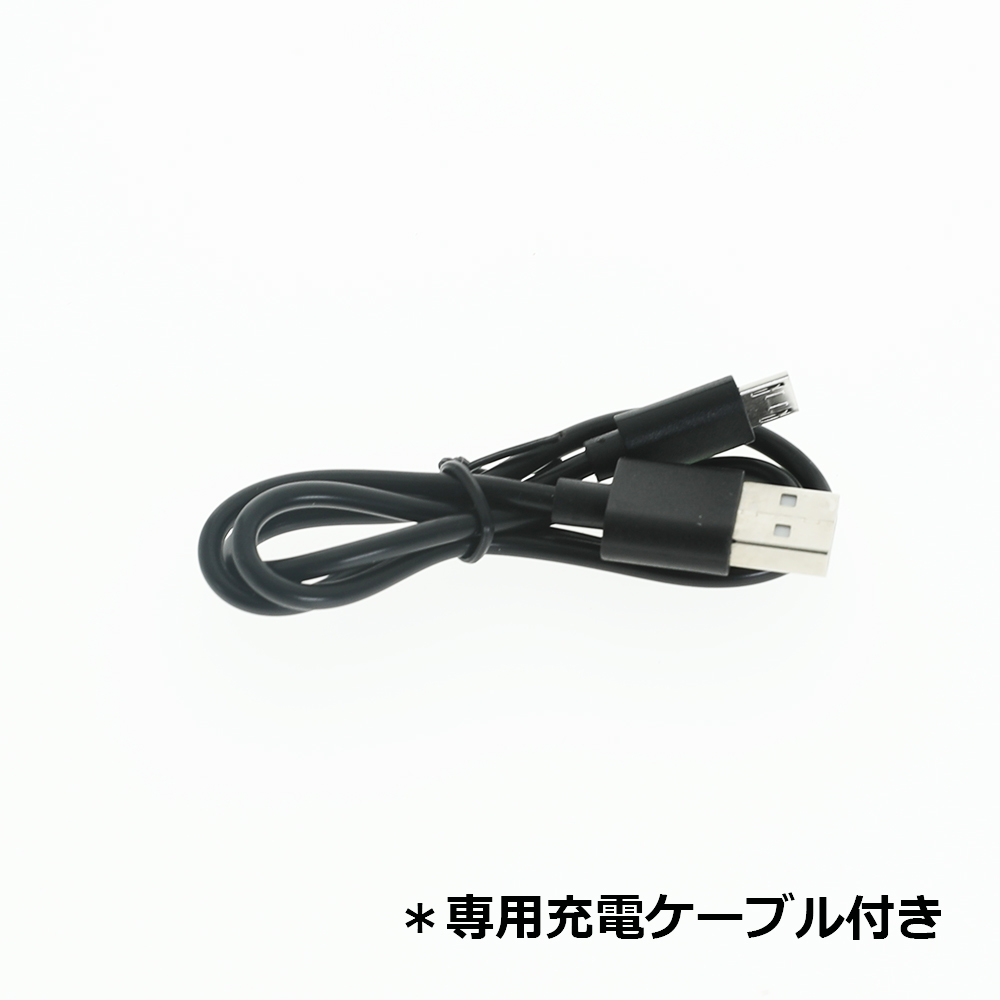 Panasonic DMW-BCM13 LUMIX DMC-TZ57 DMC-TZ55 DMC-TZ40 対応 互換品 USB 式 充電器 バッテリーチャージャー_画像6