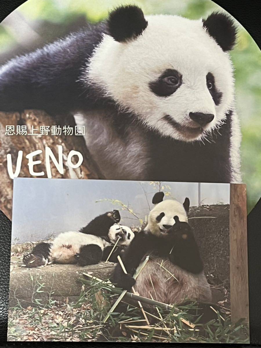シャンシャン シンシン パンダ 上野動物園 公式ポストカード 完売品 入手困難 うちわセット_画像1