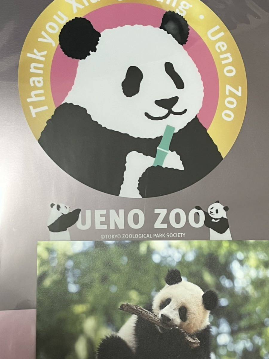シャンシャン パンダ 上野動物園 公式ポストカード 完売品 入手困難 クリアファイル セット