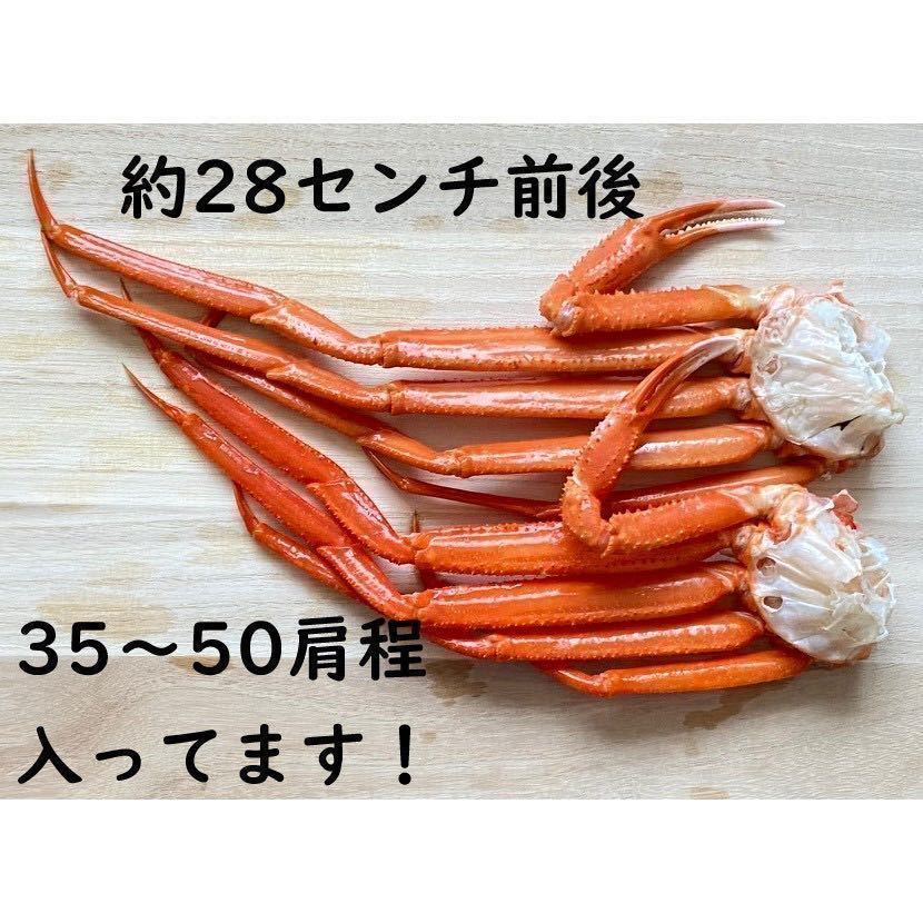 【訳あり！大特価！】　北海道産　紅ずわい肩　約36～50肩（5㎏）入れ　Sサイズ　ズワイ蟹　ずわい　コロナ応援　冷凍　ズワイガニ　ズワイ_画像3