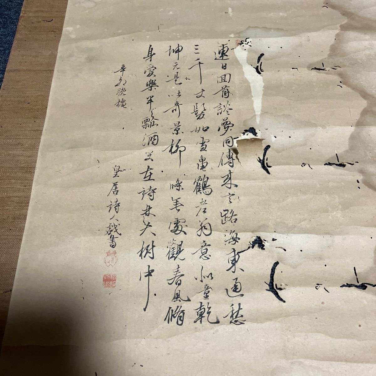 【模写】掛軸 金子有文 紙本 箱無 同梱可能 No.4075_画像4