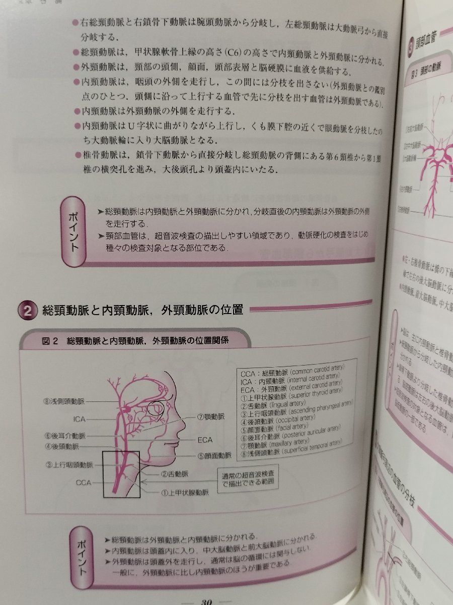 血管エコーのすべて 頭部から末梢まで　増山理/辻本正彦　南江堂【ac01l】_画像6