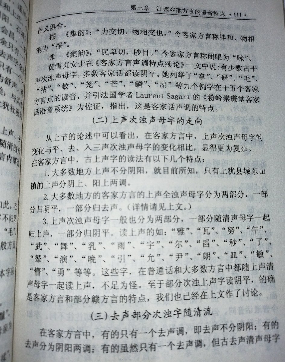 江西客家方言況 江西人民出版社 中国語書籍/中文/言語学/文法【ac02】_画像6