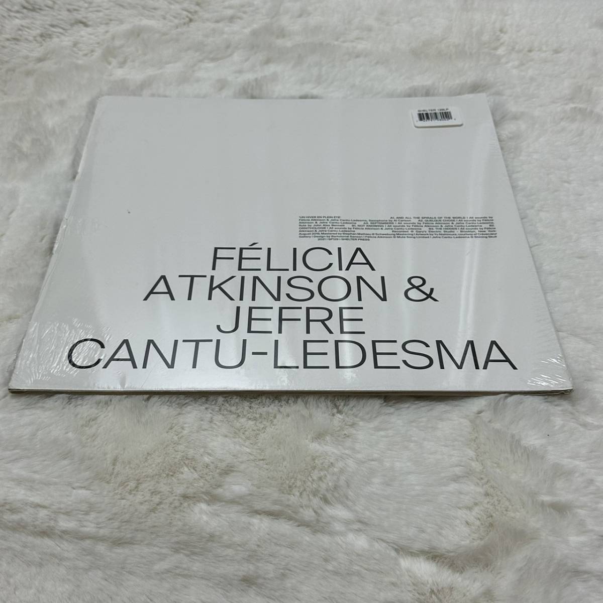 ■LPレコード■Un Hiver En Plein Ete / Felicia Atkinson, Jefre Cantu-Ledesma■中古 未開封_画像2