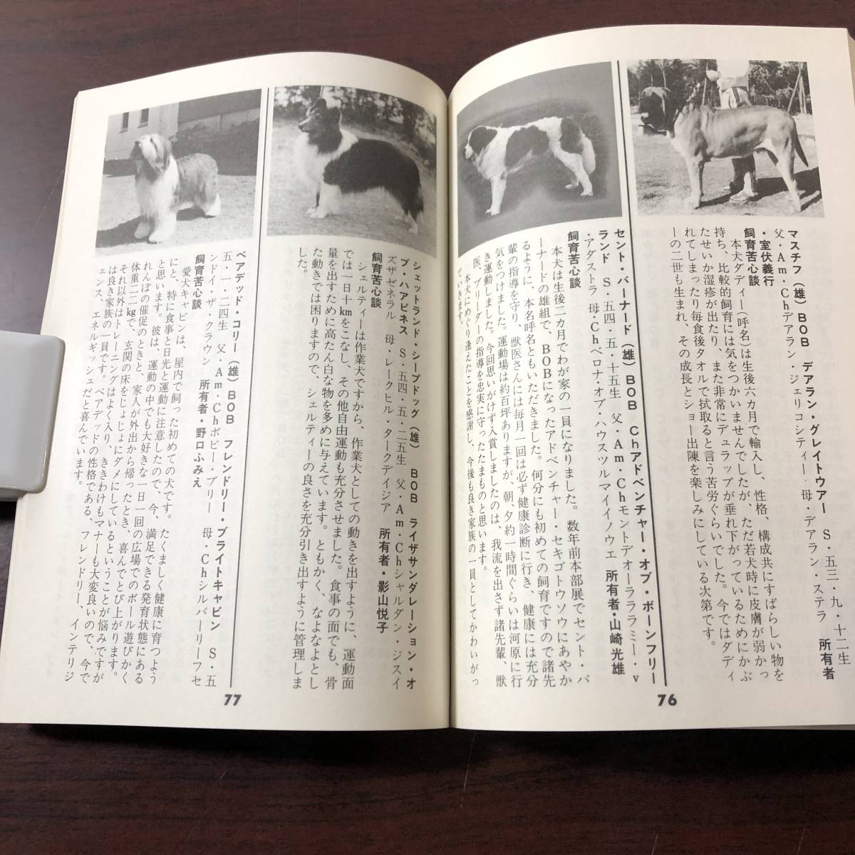 名犬写真集　愛犬の友　1981年8月号付録　上半期ドッグ・ショー総集編　【11】_画像10