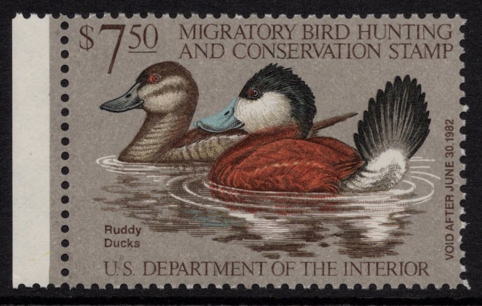 アメリカ　狩猟切手　1981-1982　未使用NH　（アメリカ　1981年発行）_画像1