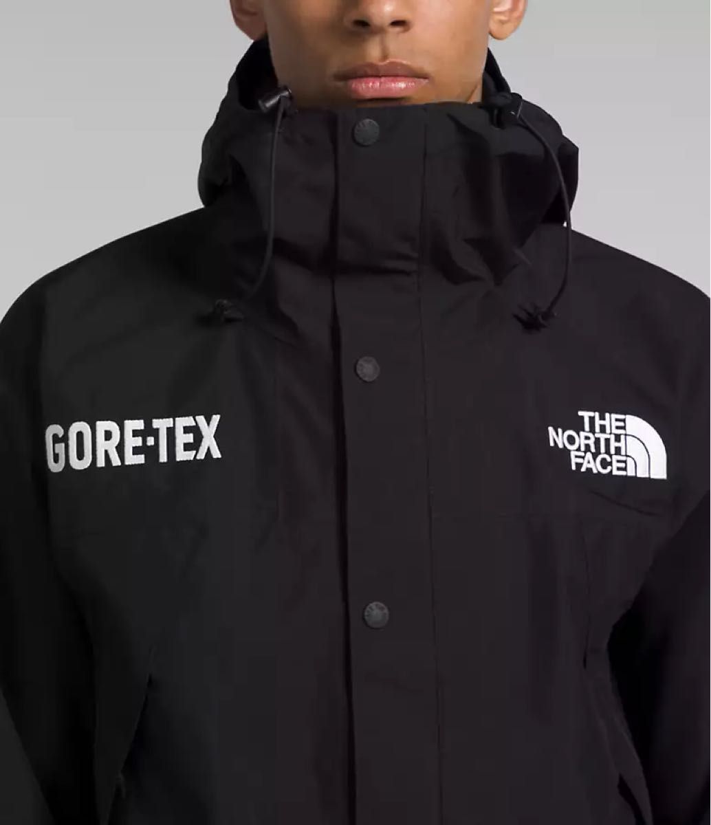The North Face Men’s GORE-TEX Mountain Jacket Black Medium GTX M